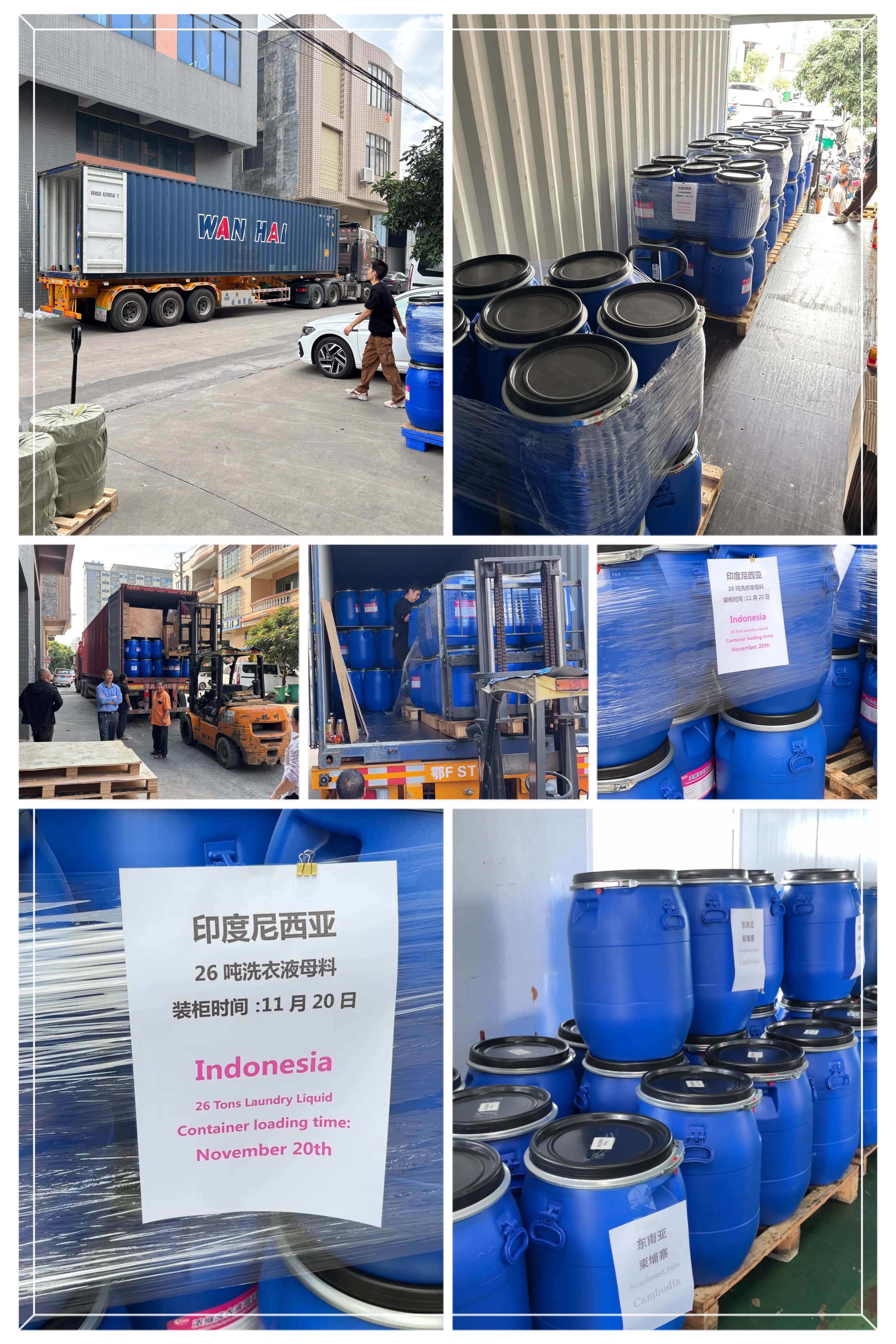 TOIN Container Loading & Export